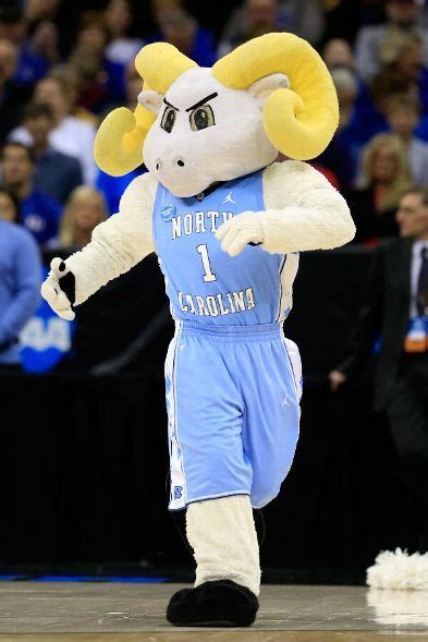 Rameses, the mascot for the North Carolina Tar Heels | UNC Tarheels | Pinterest | Unc tarheels