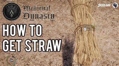 Medieval Dynasty : Straw Map Location How To Get Straw Guide - YouTube