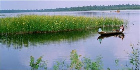 Láng Sen Wetland Reserve - Alchetron, the free social encyclopedia