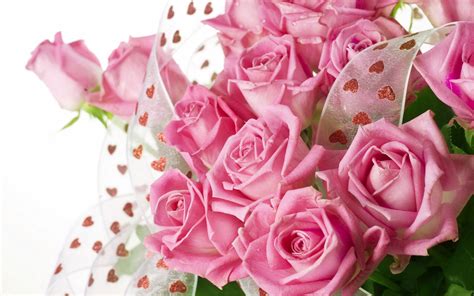 Pretty Pink Roses - Roses Wallpaper (34610944) - Fanpop