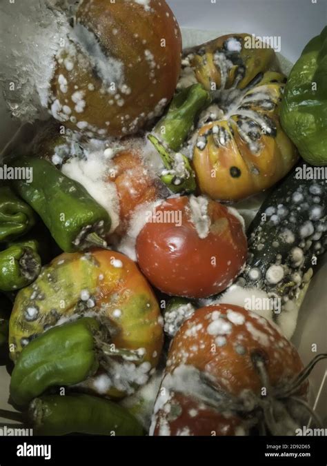 Rotten fruits with mold and bacteria, food poisoning Stock Photo - Alamy