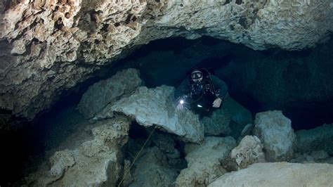 Cave Diving: Lessons From Overhead Environments - Dive Training Magazine