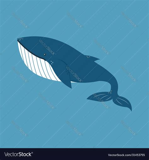 Whale on white background Royalty Free Vector Image