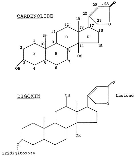 Schematic representation of the digoxin (digoxigenin tridigitoxoside ...