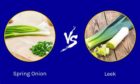 Spring Onion vs. Leek: Understanding the Differences - A-Z Animals