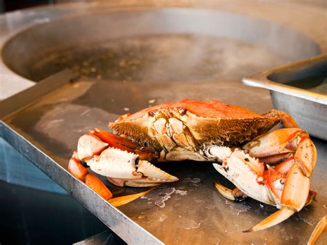 Curious questions: What's the best way to cook a crab? - Country Life