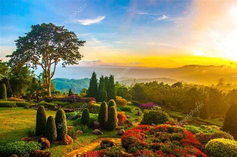 Beautiful garden of colorful flowers on hill with sunrise in the ⬇ Stock Photo, Image by ...