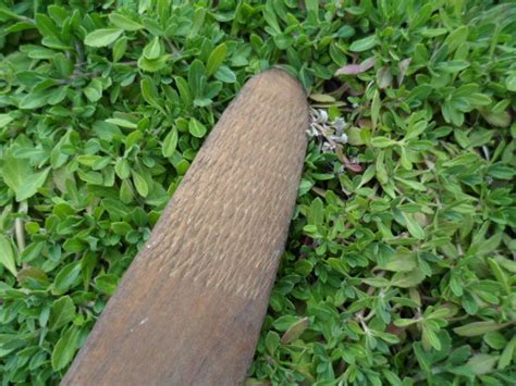 ABORIGINAL OLD WOOD WOODEN BOOMERANG NORTH WESTERN AUSTRALIA SPINIFEX ...