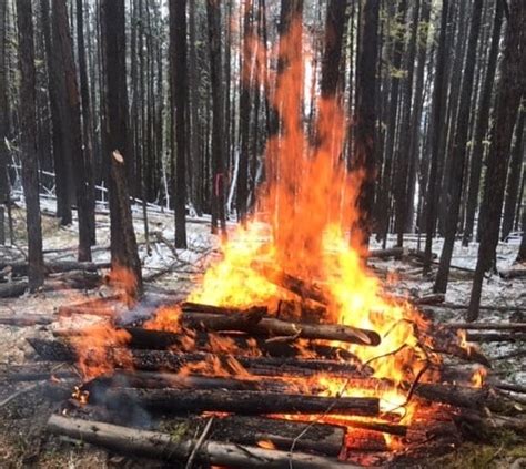 Kimberley prepares to burn several slash piles - My East Kootenay Now