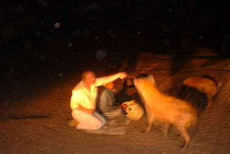 Harar - Hyena-feeding attendance | Rainbow Tours