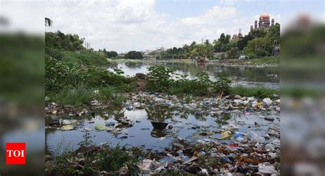 Telangana high court slams state government over Musi river pollution | Hyderabad News - Times ...