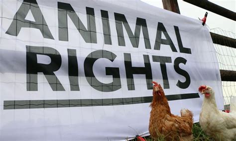 Animal Rights - Who we are | Animal Rights