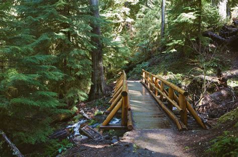 Bagby Hot Springs, Oregon – Wood&Faulk