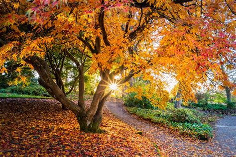 The best autumn gardens to visit - Gardens Illustrated