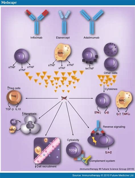 Anti-TNF-alpha Agents in Immune-Mediated Inflammatory Diseases