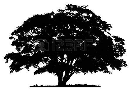 oak tree silhouette: Tree silhouette on white background * MANY great tree patterns | Oak tree ...