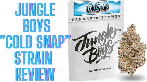 Jungle Boys: Cold Snap (Strain Review) - YouTube