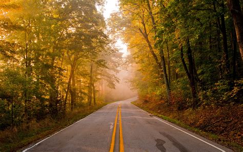 roads, Trees, Forest, Autumn, Fall Wallpapers HD / Desktop and Mobile ...