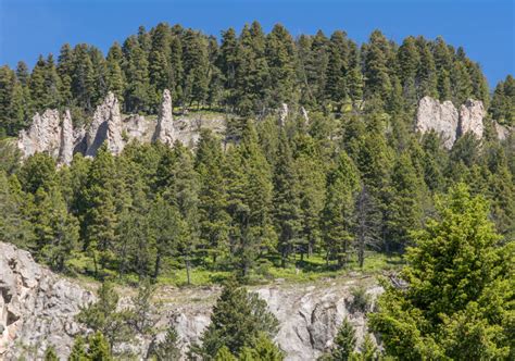 Bozeman Hike – Middle Cottonwood Creek Trail - Explore Constantly