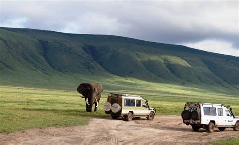 3 Days Ngorongoro Crater & Lake Manyara | Camping Safari - Vamos Africa Safaris