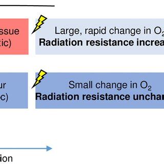 The oxygen depletion hypothesis. The relationship between oxygen ...