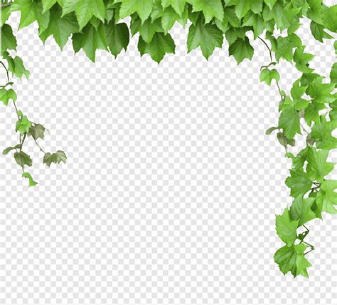 Free download | Green primate leaf plants illustration, Vine Computer ...