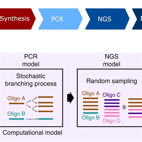 A DNA storage system model a Workflow of DNA data storage. Digital... | Download Scientific Diagram