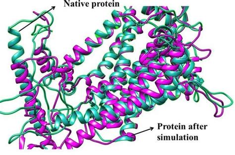 Superimposed protein structure of native structure (before... | Download Scientific Diagram