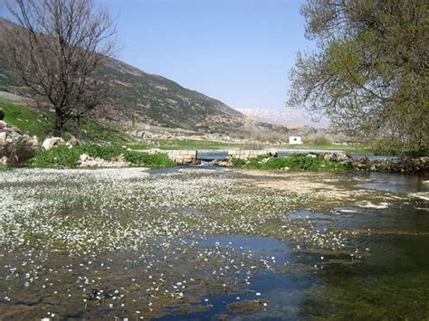 Litani River Basin - Disputes Around Water - Soapboxie