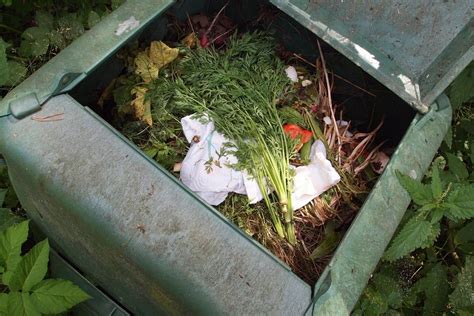 A Step By Step Guide To Composting In The Winter - The Eco Hub