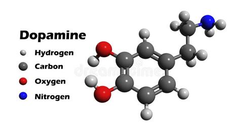 Dopamine stock illustration. Illustration of hormone - 59899566