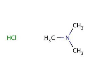 Trimethylamine hydrochloride | CAS 593-81-7 | SCBT - Santa Cruz Biotechnology