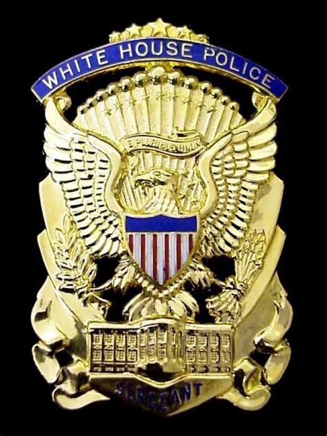 203 best US Federal Police Badges images on Pinterest | Police badges ...