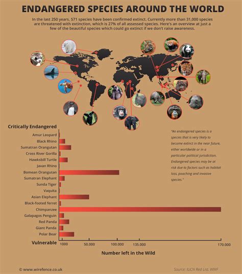 Critically Endangered Species, IUCN Red List - Humane Decisions