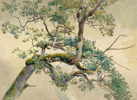 Tree Branches. Painting by Charles Reginald Aston