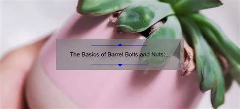 The Basics of Barrel Bolts and Nuts: Everything You Need to Know - baru-nuts.com