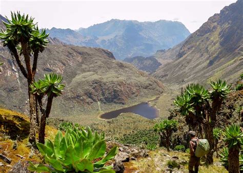 Rwenzori Mountains: 13 Things About "Mountains of the Moon ...