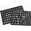 Amazon.com: Braille Keyboard Stickers for the Blind and Visually ...