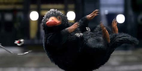 Why Isn't 'Fantastic Beasts' Capitalizing on Its Scene-Stealing Niffler?