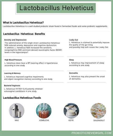 Lactobacillus Helveticus – Anxiety, Cognition & Swiss Cheese ...