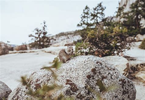 Hiking the Panorama Trail in Yosemite - Tips and inspiration