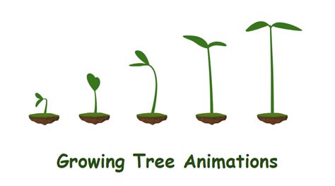 Growing Plant Animation