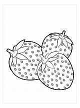 Dibujos de Fresa para colorear E Imprimir– ColoringOnlyCom sketch template