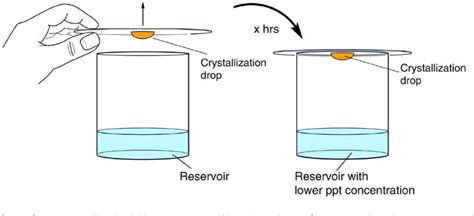 Crystallization Meaning