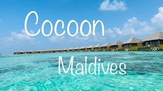 Cocoon Maldives 2022 4K island drone food snorkeling di... | Doovi