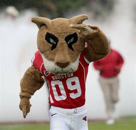 Shasta, University of Houston Cougars. | University Of Houston - Cougar Pride | Pinterest | College