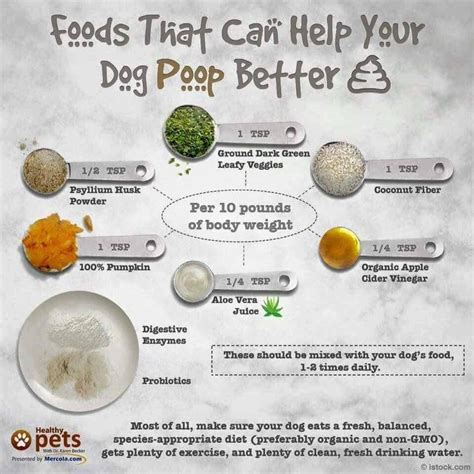 Pin by Tammy Herrera on Barkin' Bakery | Dog food recipes, Dog nutrition, Raw dog food recipes