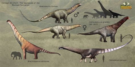 Morrison Formation Chart(s) are here and... - Prehistoric Kingdom | Prehistoric, Prehistoric ...