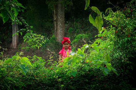 myanmar (burma), kalaw, bush, myanmar, girl, trees, portrait, birma ...