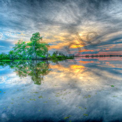 Lake Maurepas Blue sunset